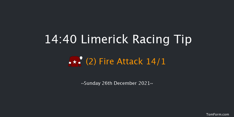 Limerick 14:40 Maiden Chase 20f Tue 16th Nov 2021