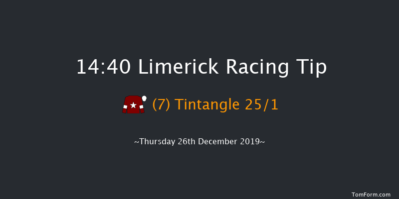 Limerick 14:40 Maiden Chase 20f Fri 29th Nov 2019