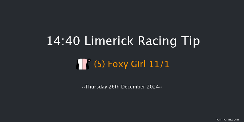 Limerick  14:40 Maiden Chase 18f Tue 19th Nov 2024