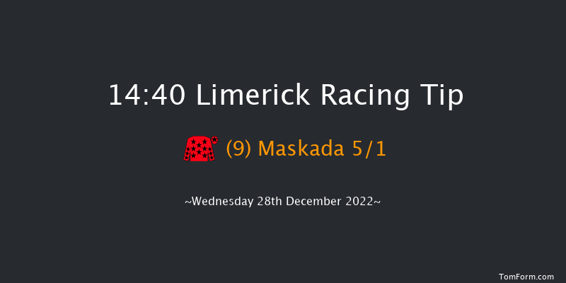 Limerick 14:40 Handicap Chase 20f Tue 27th Dec 2022