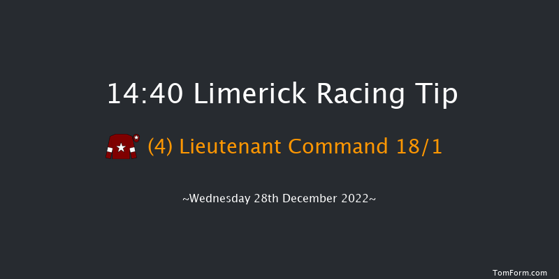 Limerick 14:40 Handicap Chase 20f Tue 27th Dec 2022