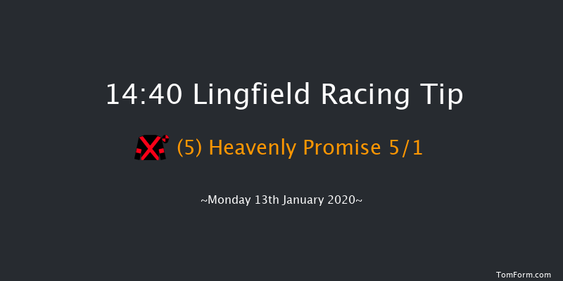 Lingfield 14:40 Handicap Hurdle (Class 5) 23f Sat 11th Jan 2020