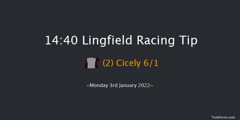 Lingfield 14:40 Handicap (Class 6) 10f Fri 31st Dec 2021