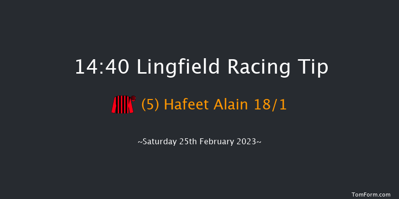 Lingfield 14:40 Handicap (Class 2) 8f Fri 24th Feb 2023