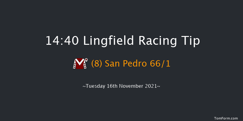 Lingfield 14:40 Handicap Hurdle (Class 3) 20f Sat 13th Nov 2021