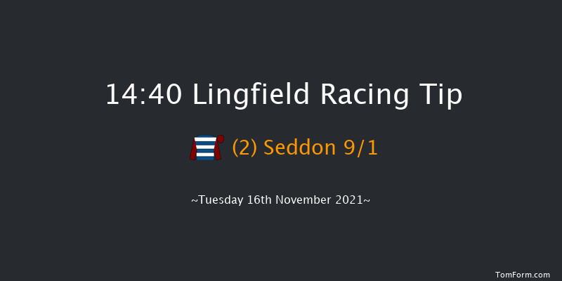Lingfield 14:40 Handicap Hurdle (Class 3) 20f Sat 13th Nov 2021