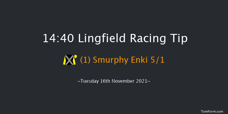 Lingfield 14:40 Handicap Hurdle (Class 3) 20f Sat 13th Nov 2021