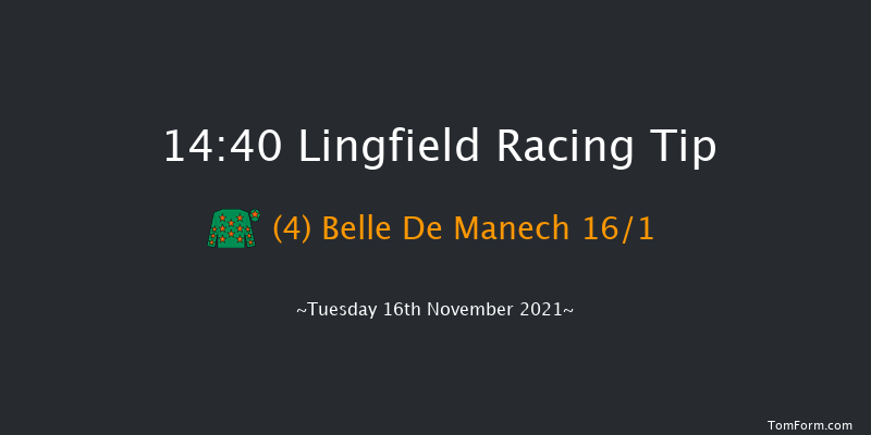 Lingfield 14:40 Handicap Hurdle (Class 3) 20f Sat 13th Nov 2021