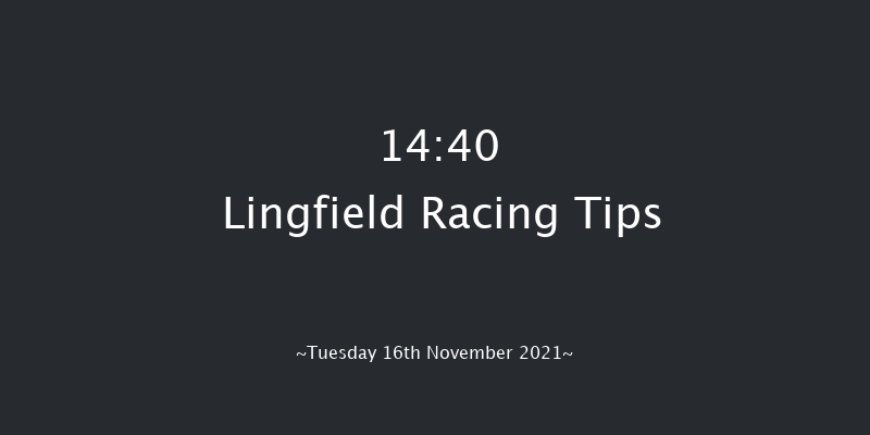 Lingfield 14:40 Handicap Hurdle (Class 3) 20f Sat 13th Nov 2021