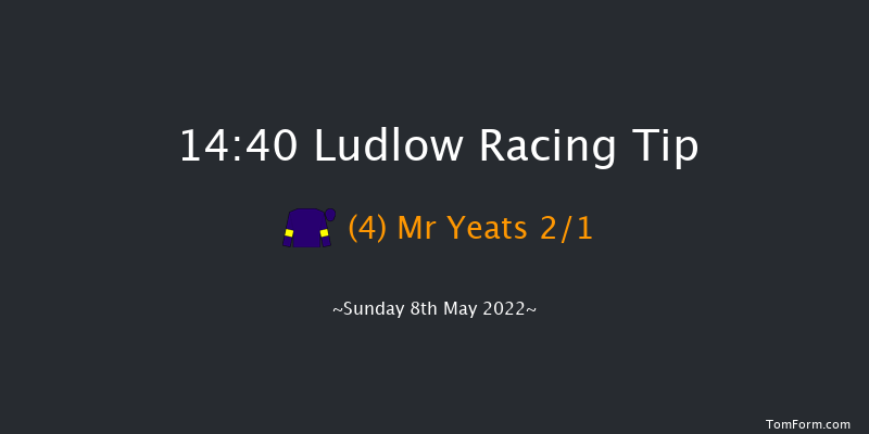Ludlow 14:40 Handicap Hurdle (Class 5) 21f Wed 20th Apr 2022