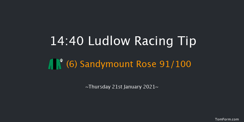 Plyvine Caterers 40th Anniversary Mares' Handicap Hurdle Ludlow 14:40 Handicap Hurdle (Class 3) 24f Wed 16th Dec 2020