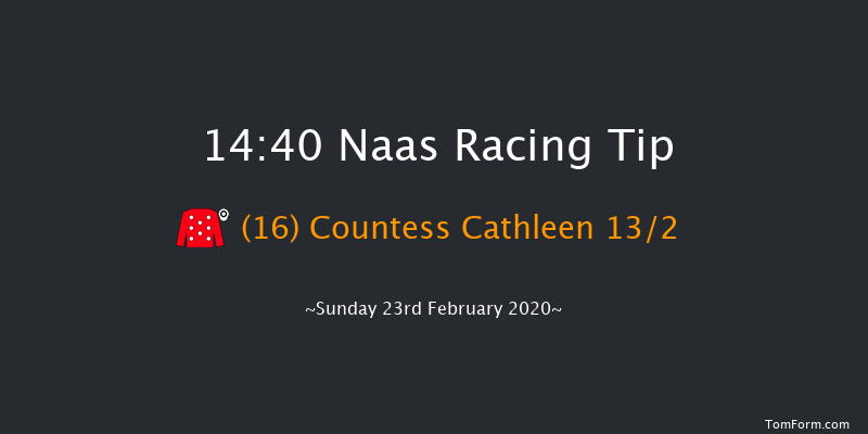 Paddy Power Road To Cheltenham Novice Handicap Chase (Grade B) Naas 14:40 Handicap Chase 20f Sat 8th Feb 2020