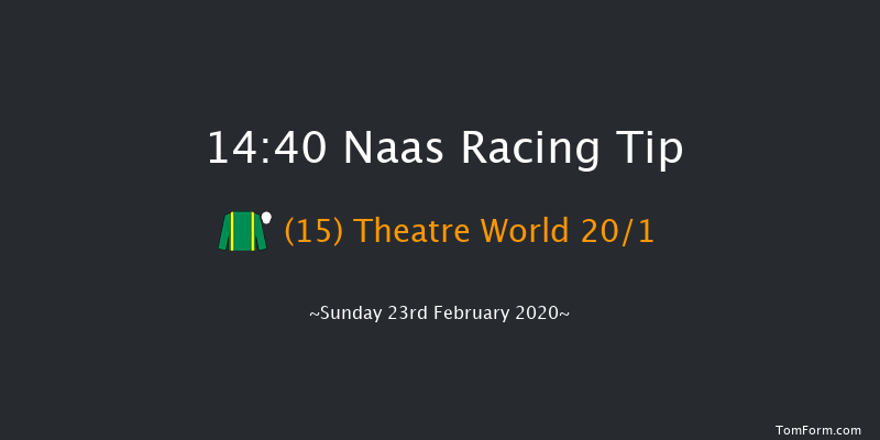 Paddy Power Road To Cheltenham Novice Handicap Chase (Grade B) Naas 14:40 Handicap Chase 20f Sat 8th Feb 2020