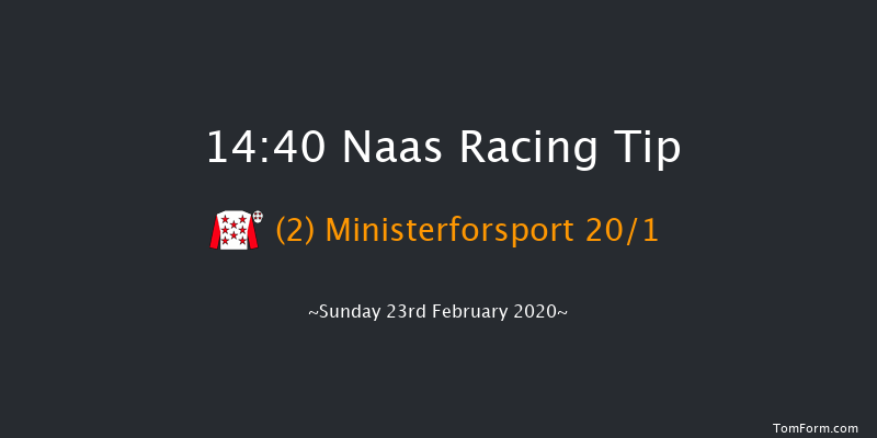 Paddy Power Road To Cheltenham Novice Handicap Chase (Grade B) Naas 14:40 Handicap Chase 20f Sat 8th Feb 2020