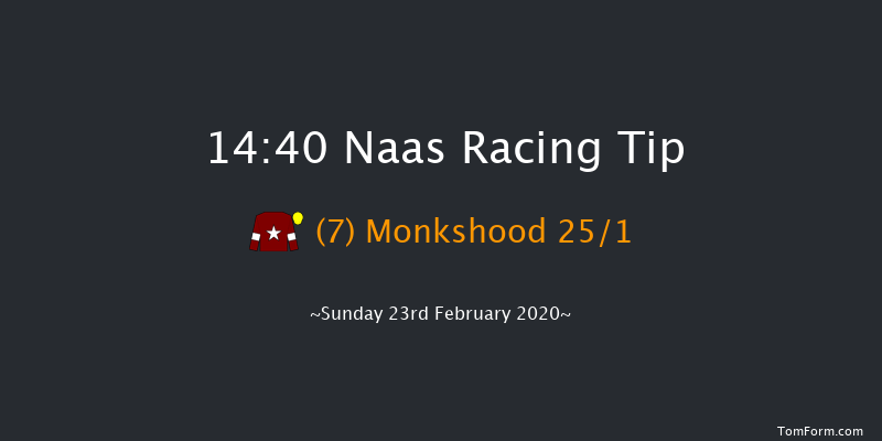 Paddy Power Road To Cheltenham Novice Handicap Chase (Grade B) Naas 14:40 Handicap Chase 20f Sat 8th Feb 2020