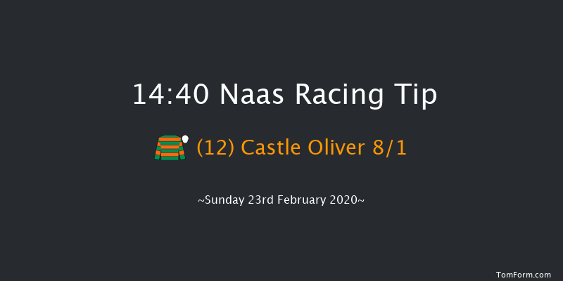 Paddy Power Road To Cheltenham Novice Handicap Chase (Grade B) Naas 14:40 Handicap Chase 20f Sat 8th Feb 2020