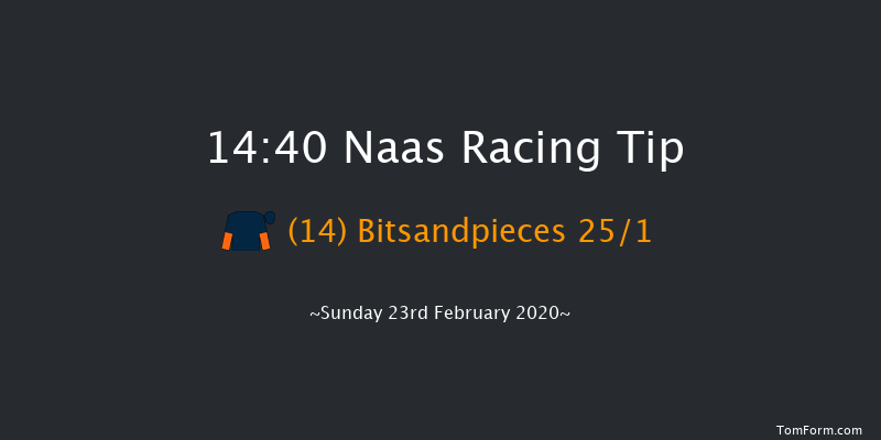 Paddy Power Road To Cheltenham Novice Handicap Chase (Grade B) Naas 14:40 Handicap Chase 20f Sat 8th Feb 2020