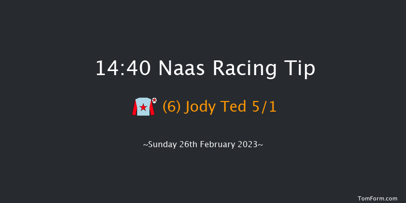 Naas 14:40 Handicap Chase 20f Sat 11th Feb 2023