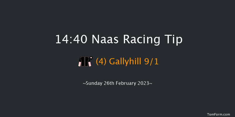 Naas 14:40 Handicap Chase 20f Sat 11th Feb 2023