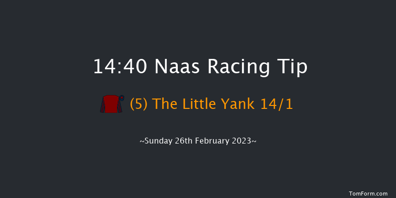 Naas 14:40 Handicap Chase 20f Sat 11th Feb 2023