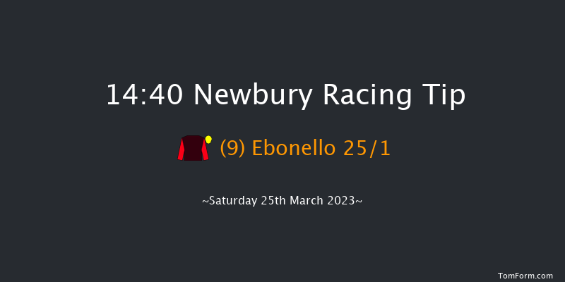 Newbury 14:40 Handicap Hurdle (Class 1) 20f Fri 24th Mar 2023