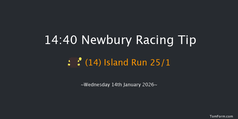 Newbury 14-40 (Class 4) 24f Mon 29th Dec 2025