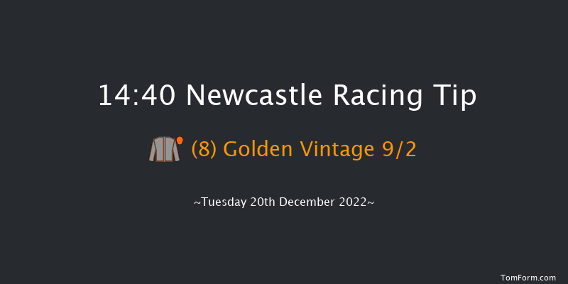 Newcastle 14:40 Handicap (Class 5) 12f Sat 10th Dec 2022