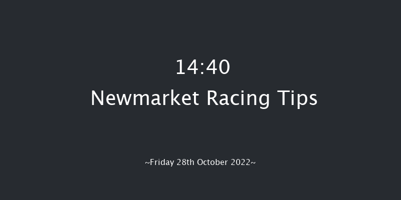 Newmarket 14:40 Listed (Class 1) 6f Wed 19th Oct 2022