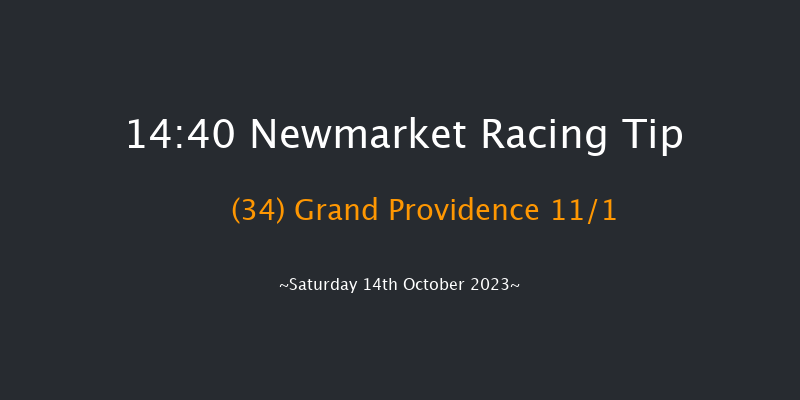 Newmarket 14:40 Handicap (Class 2) 18f Fri 13th Oct 2023