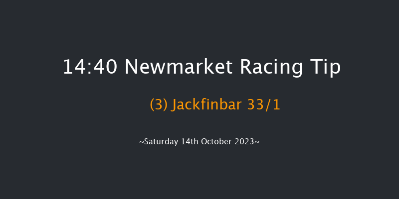 Newmarket 14:40 Handicap (Class 2) 18f Fri 13th Oct 2023