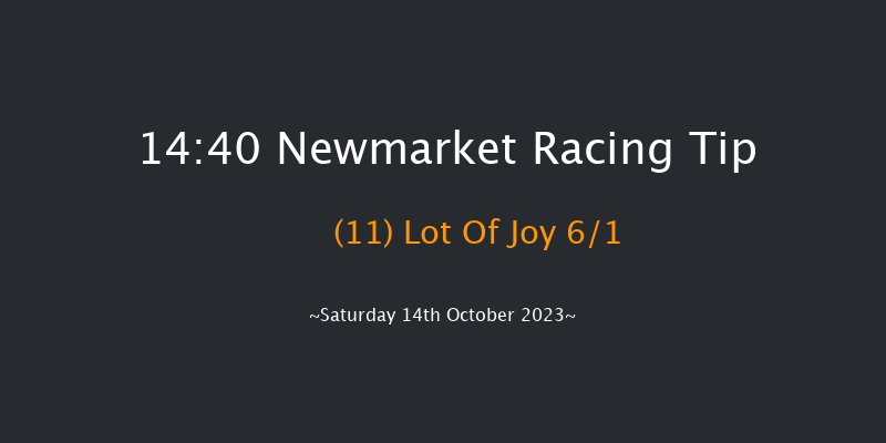 Newmarket 14:40 Handicap (Class 2) 18f Fri 13th Oct 2023