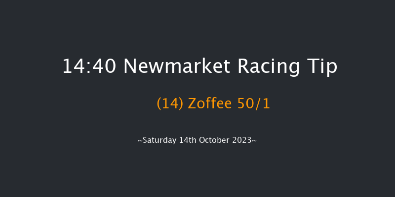 Newmarket 14:40 Handicap (Class 2) 18f Fri 13th Oct 2023