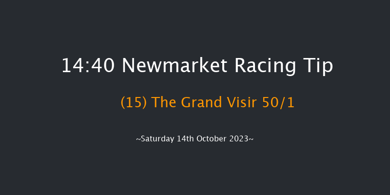 Newmarket 14:40 Handicap (Class 2) 18f Fri 13th Oct 2023