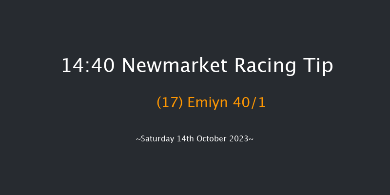 Newmarket 14:40 Handicap (Class 2) 18f Fri 13th Oct 2023