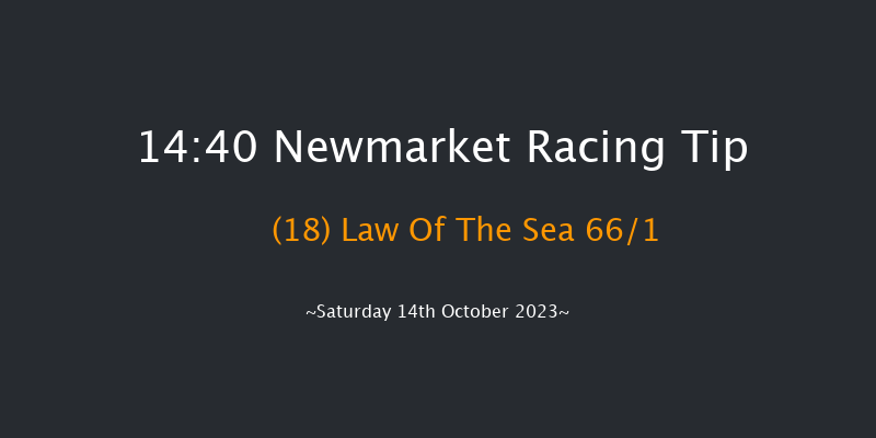 Newmarket 14:40 Handicap (Class 2) 18f Fri 13th Oct 2023