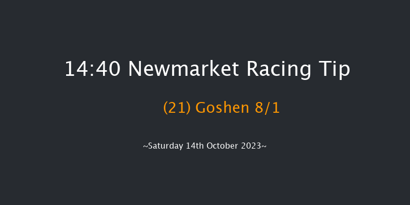 Newmarket 14:40 Handicap (Class 2) 18f Fri 13th Oct 2023