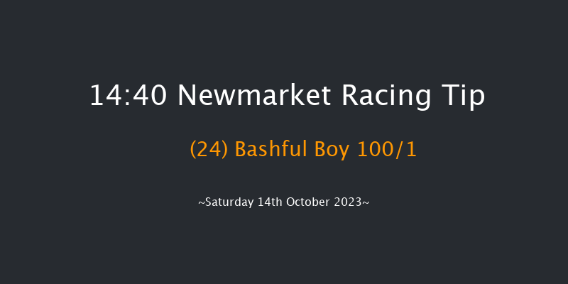Newmarket 14:40 Handicap (Class 2) 18f Fri 13th Oct 2023