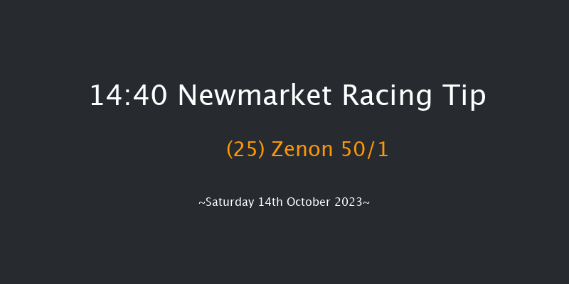 Newmarket 14:40 Handicap (Class 2) 18f Fri 13th Oct 2023