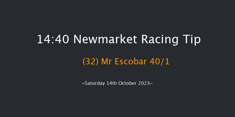Newmarket 14:40 Handicap (Class 2) 18f Fri 13th Oct 2023