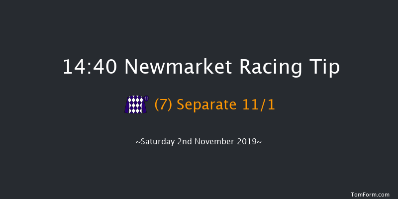 Newmarket 14:40 Listed (Class 1) 8f Fri 1st Nov 2019
