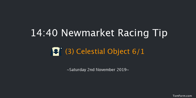 Newmarket 14:40 Listed (Class 1) 8f Fri 1st Nov 2019