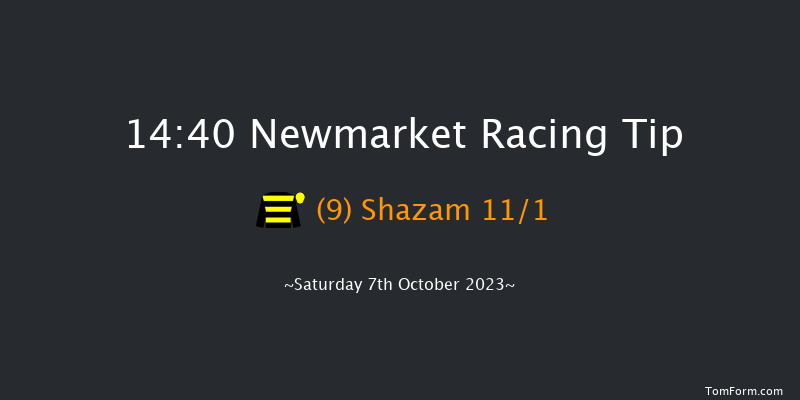 Newmarket 14:40 Handicap (Class 2) 12f Sat 30th Sep 2023