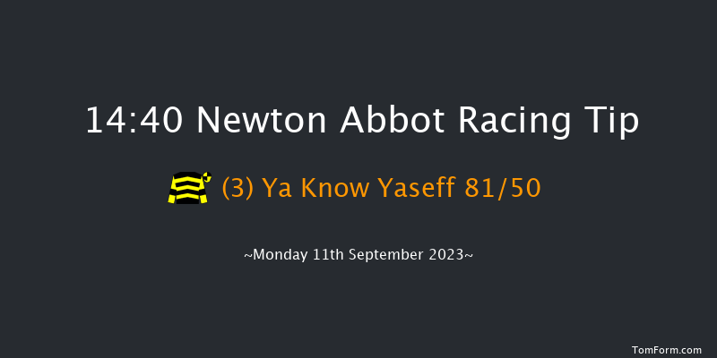 Newton Abbot 14:40 Handicap Chase (Class 5) 26f Sat 2nd Sep 2023