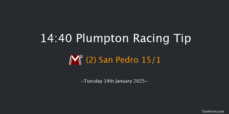 Plumpton  14:40 Handicap Hurdle (Class 5) 25f Sun 5th Jan 2025