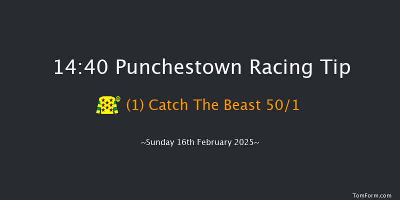 Punchestown  14:40 Maiden Chase 23f Mon 3rd Feb 2025