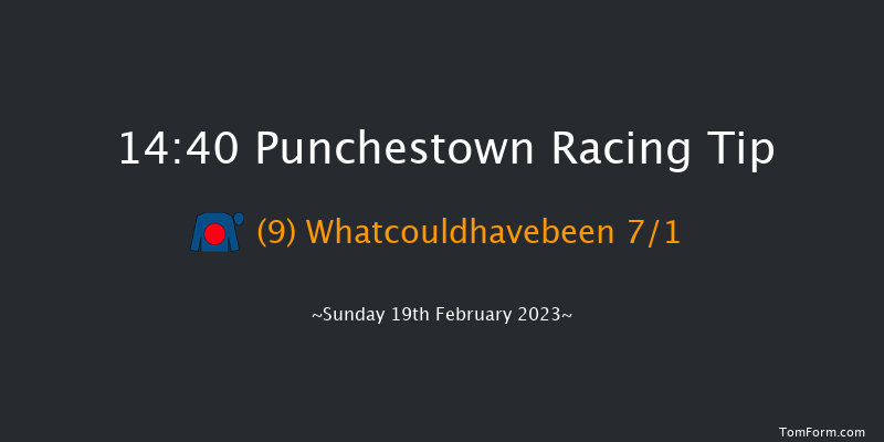 Punchestown 14:40 Novices Hurdle 21f Mon 30th Jan 2023