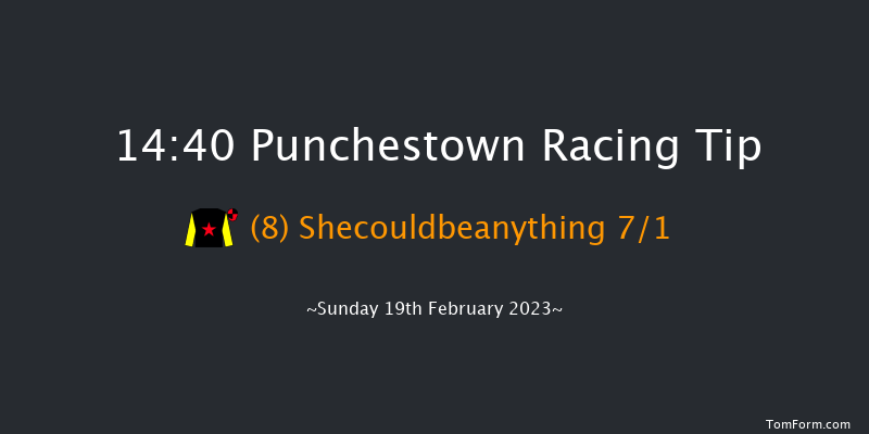 Punchestown 14:40 Novices Hurdle 21f Mon 30th Jan 2023