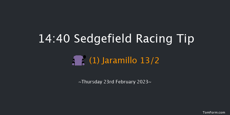 Sedgefield 14:40 Handicap Hurdle (Class 4) 20f Sun 29th Jan 2023