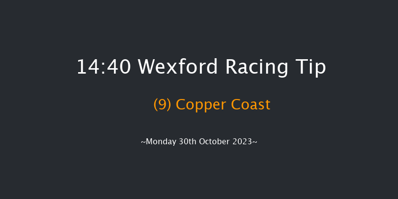 Wexford 14:40 Maiden Hurdle 20f Sun 29th Oct 2023
