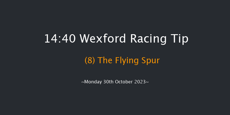 Wexford 14:40 Maiden Hurdle 20f Sun 29th Oct 2023